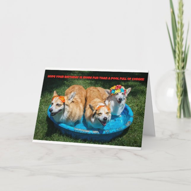 Corgis in a pool birthday card (Front)