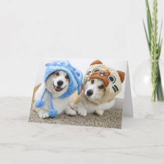 Corgis in Hats Folded Greeting Card