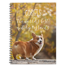 Corgis The World's Best Antidepressants