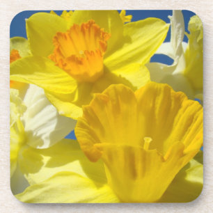 Cork Coaster gifts Spring Yellow Daffodil Flowers