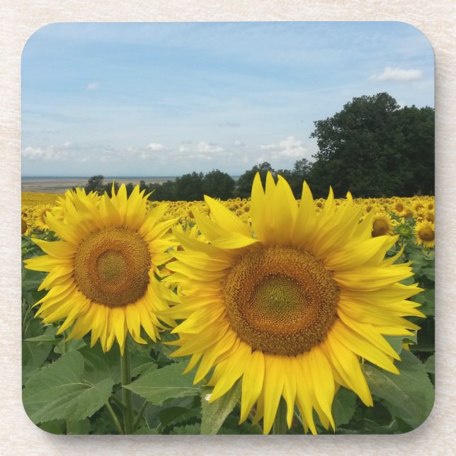 Cork Coaster with Sunflower (Front)
