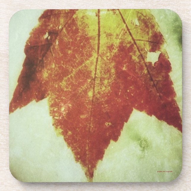 Cork Coasters, Set of six ~ Autumn Leaf Coaster (Front)