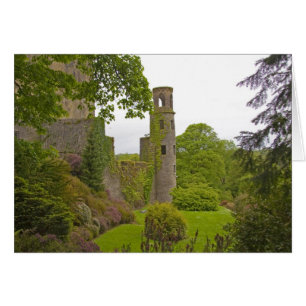 Cork, Ireland. The infamous Blarney Castle 2