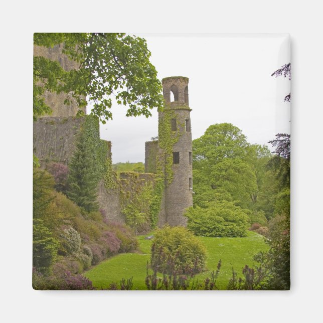 Cork, Ireland. The infamous Blarney Castle 2 Magnet (Front)