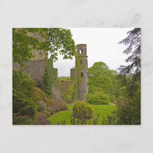 Cork, Ireland. The infamous Blarney Castle 2 Postcard
