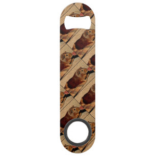 Corkboard Look Guinea Pig