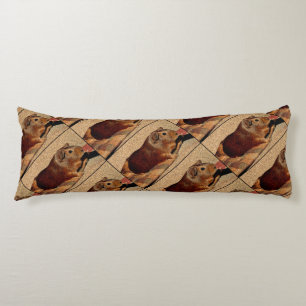 Corkboard Look Guinea Pig Body Cushion