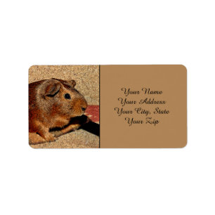 Corkboard Look Guinea Pig Label