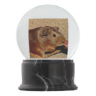 Corkboard Look Guinea Pig