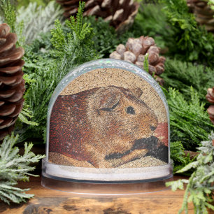 Corkboard Look Guinea Pig Snowglobe