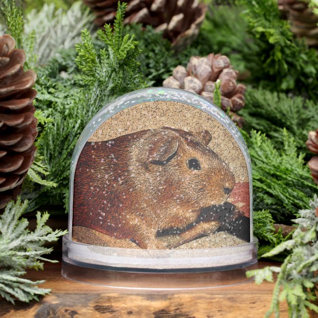 Corkboard Look Guinea Pig Snowglobe (Winter)