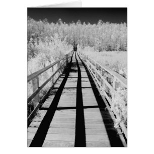 Corkscrew Swamp Sanctuary boardwalk, Florida,