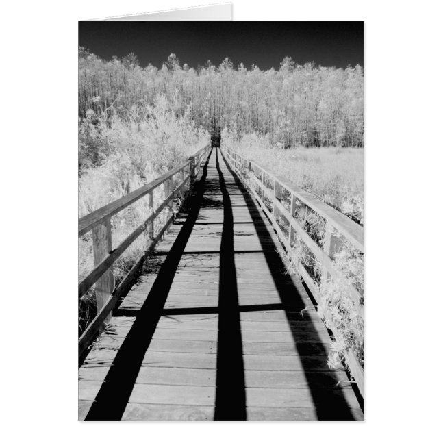 Corkscrew Swamp Sanctuary boardwalk, Florida, (Front)