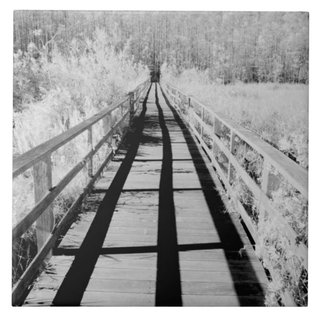 Corkscrew Swamp Sanctuary boardwalk, Florida, Ceramic Tile (Front)