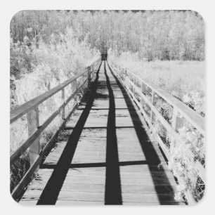 Corkscrew Swamp Sanctuary boardwalk, Florida, Square Sticker