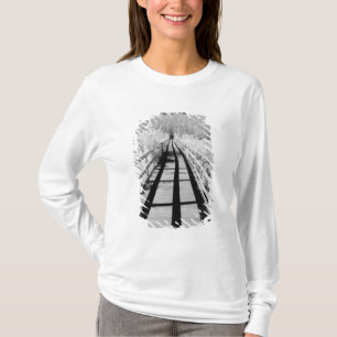 Corkscrew Swamp Sanctuary boardwalk, Florida, T-Shirt