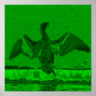 Cormorant Display Poster