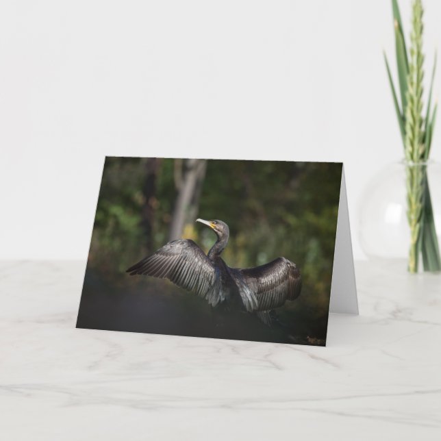 Cormorant Nature Photo Card (Front)