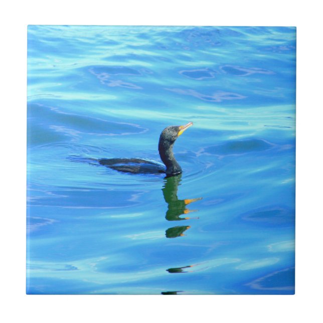 cormorant on blue tile (Front)