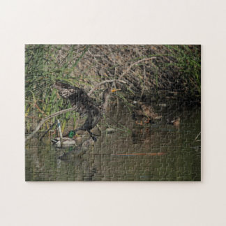 Cormorant Puzzle