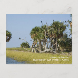 Cormorant Rookery Postcard