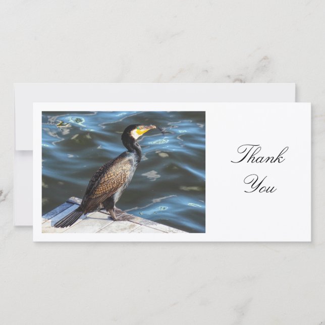 Cormorant - Thank You Card (Front)