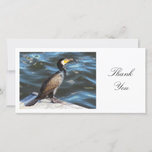 Cormorant - Thank You Card