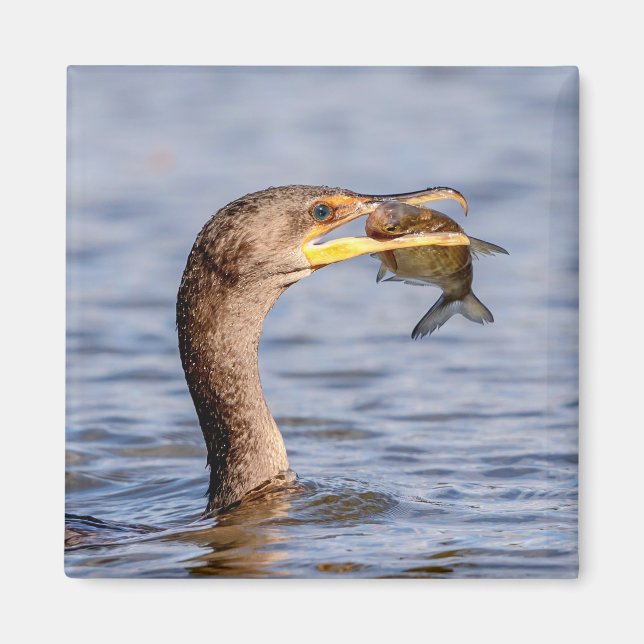 Cormorant with a fish magnet (Front)