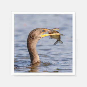 Cormorant with a fish napkin