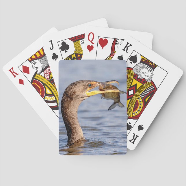 Cormorant with a fish playing cards (Back)