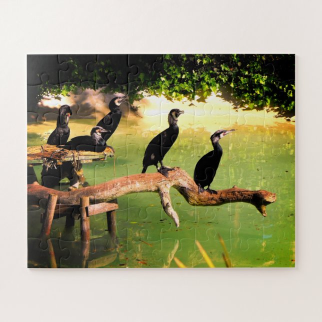 Cormorants Jigsaw Puzzle (Horizontal)