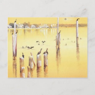 "Cormorants" Watercolor Beach Birds Postcard