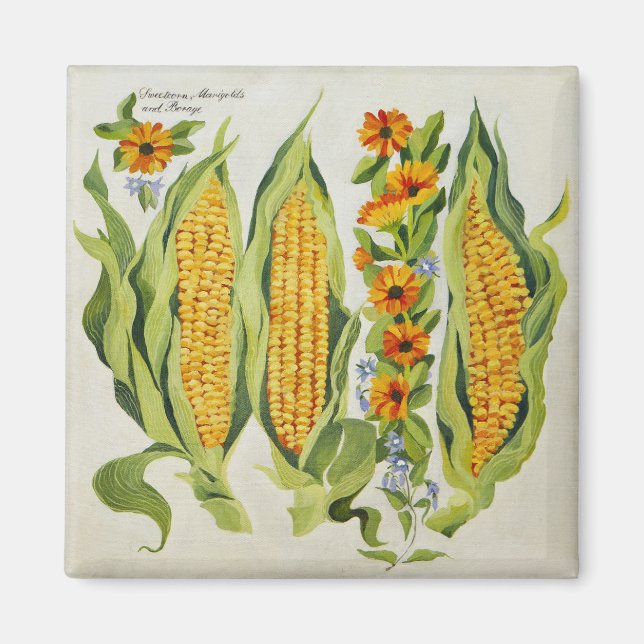 Corn and marrow flowers 2014 magnet (Front)