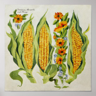 Corn and marrow flowers 2014 poster