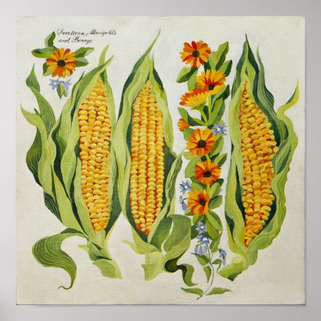 Corn and marrow flowers 2014 poster (Front)