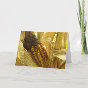 Corn close up Greetingcard Card