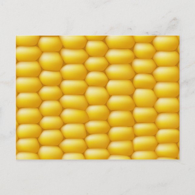 Corn Cob Background Postcard (Front)