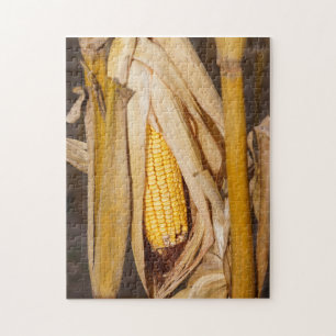 Corn Cobb On Stalk Jigsaw Puzzle