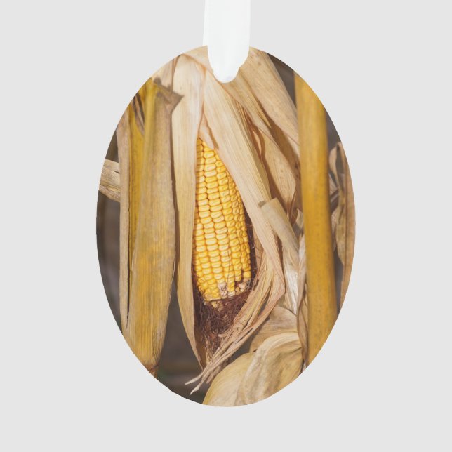 Corn Cobb On Stalk Ornament (Back)