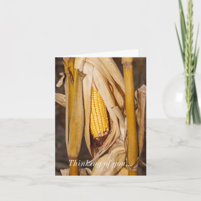 Corn Cobb On Stalk Thinking Of You Card (Front)