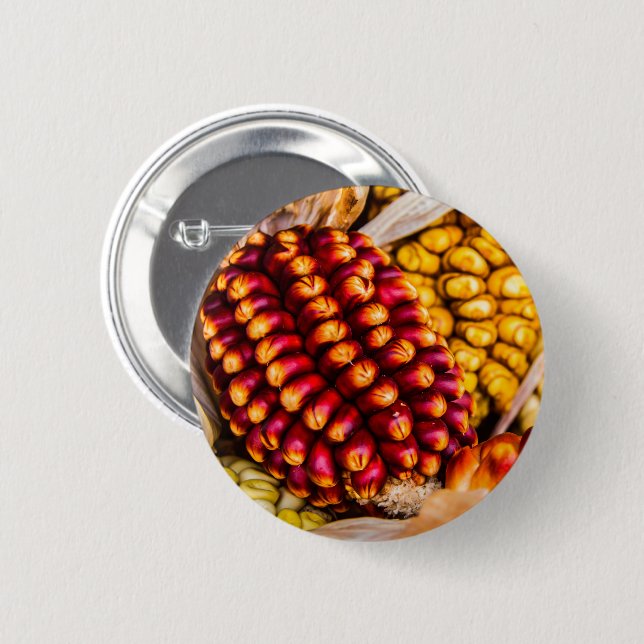 Corn cobs 6 cm round badge (Front & Back)