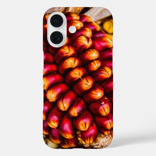 Corn cobs Case-Mate iPhone case (Back)