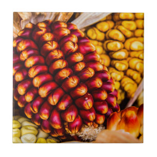 Corn cobs ceramic tile