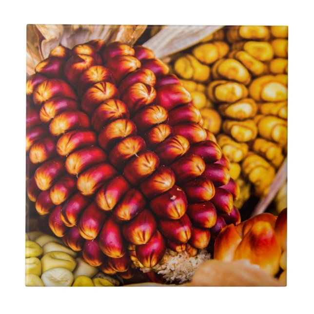 Corn cobs ceramic tile (Front)