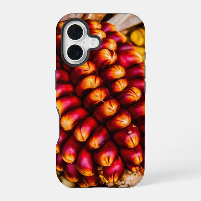 Corn cobs iPhone 16 case (Back)