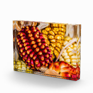 Corn cobs photo block