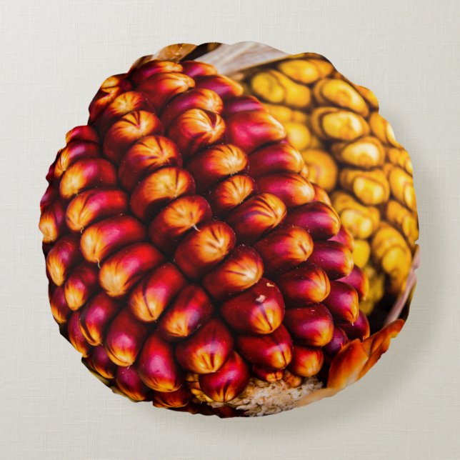 Corn cobs round cushion (Front)