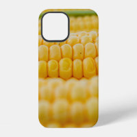 Corn corn on the cob corn kernels