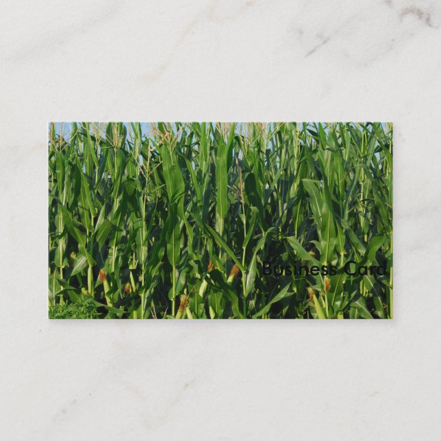 Corn Field Business Card (Front)