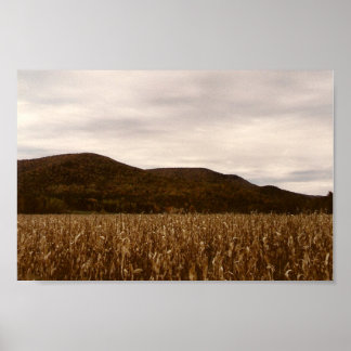 Corn field in the fall poster